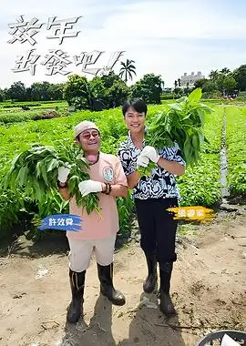 益智综艺